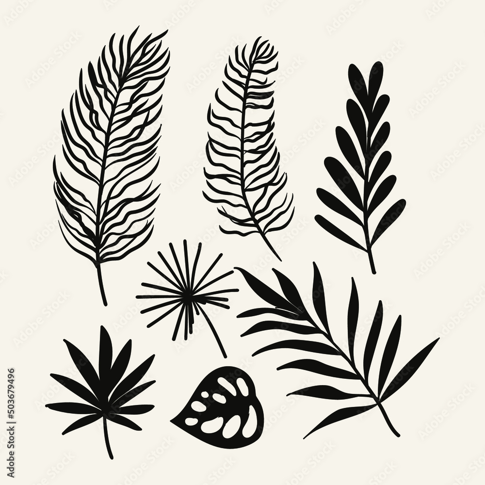 Tropical leaf collection with silhouette style Tropical leaf collection with silhouette style