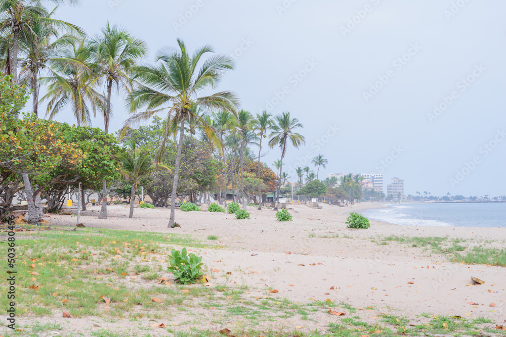 Photos of a beach on a cloudy day from different angles and places, the tone and white balance of the photos is cold, in the photos you can see vegetation, trees, shrubs, grass, sand, sky, beach, sea Photos of a beach on a cloudy day from different angles and places, the tone and white balance of the photos is cold, in the photos you can see vegetation, trees, shrubs, grass, sand, sky, beach, sea