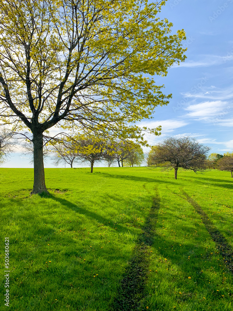 Obraz premium Trails in the park