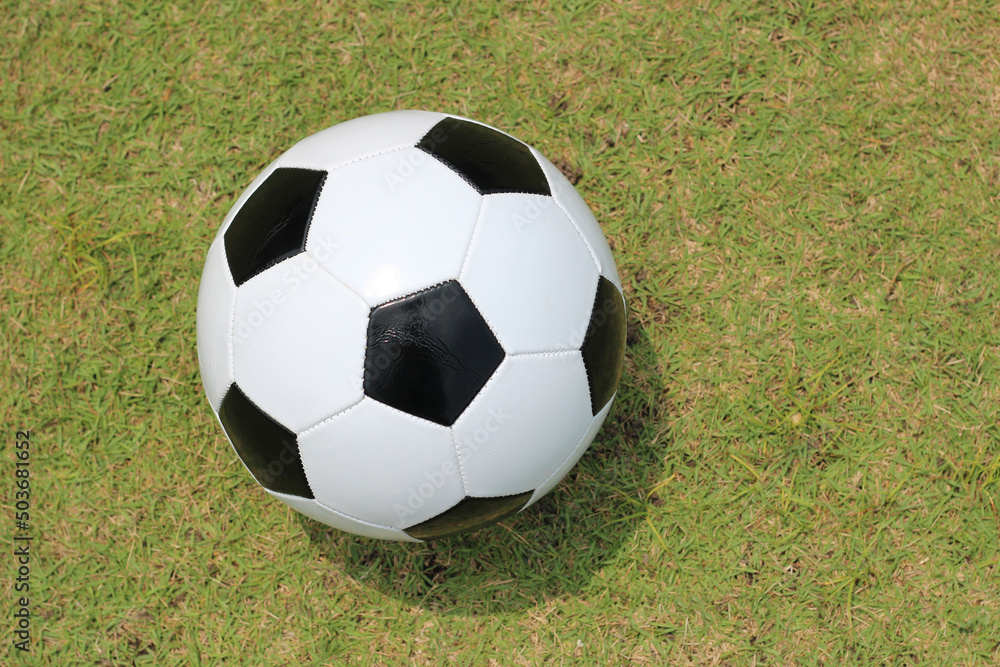 Fototapeta premium Soccer football on green field
