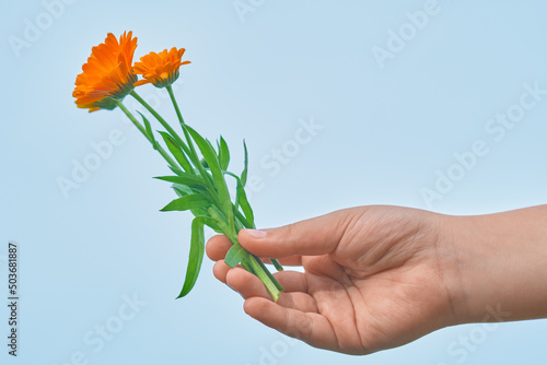 A child's hand holds yellow flowers against a blue sky. Bouquet of three daisies in the hands of a child.