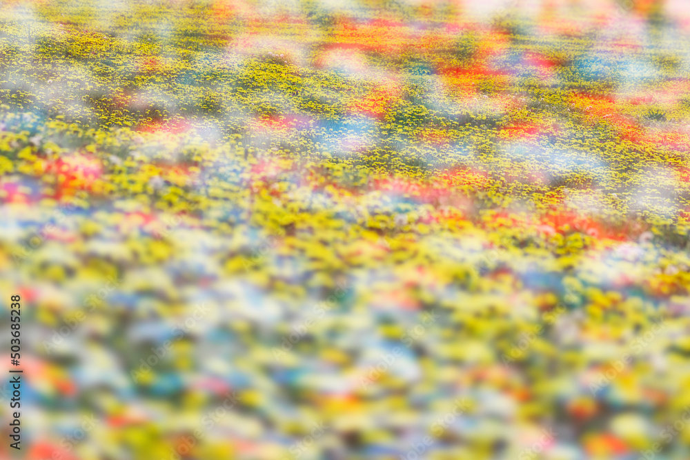 Obraz premium colorful flower field, abstract pastel background