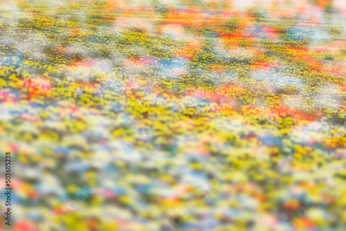 colorful flower field, abstract pastel background