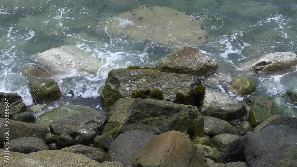 several crabs on rocks at the seashore with waves crashing in the day in 4k several crabs on rocks at the seashore with waves crashing in the day in 4k