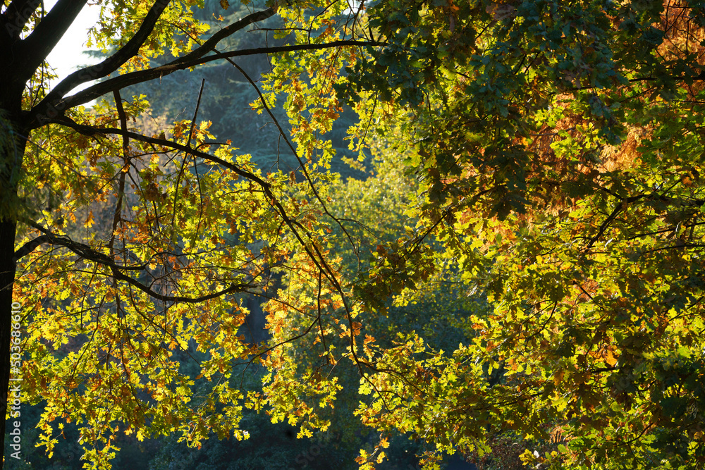 The Sempione park in Milan at fall