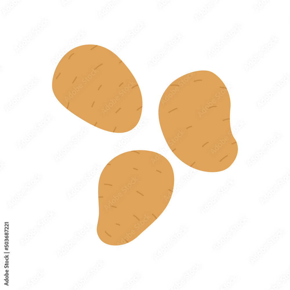 Potatoes isolated on white background. Vector illustration of raw vegetables. Healthy food and vegetarian nutrition. Illustration for organic farming market. Potatoes isolated on white background. Vector illustration of raw vegetables. Healthy food and vegetarian nutrition. Illustration for organic farming market.