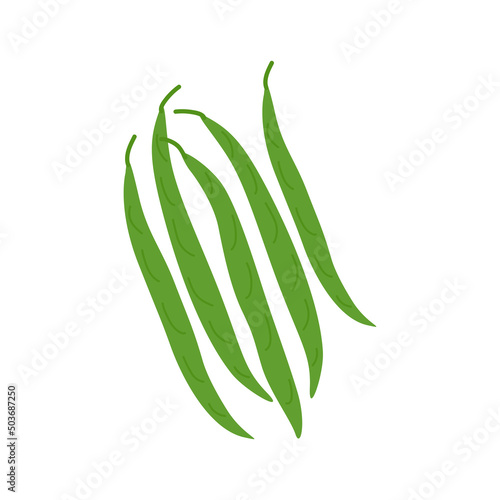 Vector illustration of pods of green beans isolated on white background. Healthy food and vegetarian nutrition. Vegetables flat illustration for organic farming market.
