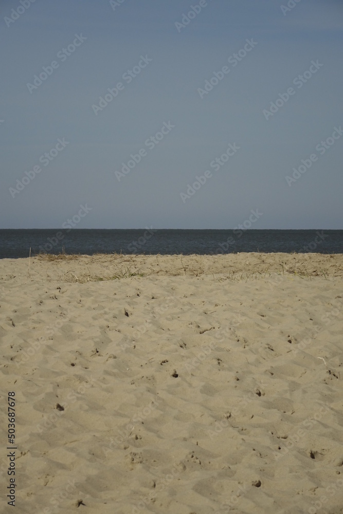 North Sea beach with soft sand at high tide, sunny spring day (vertical), Sahlenburg, Lower Saxony, Germany