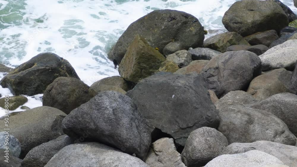 a lizard running and jumping from a rock on the sea shore with the waves of the sea crashing with the stones in the day in 4k a lizard running and jumping from a rock on the sea shore with the waves of the sea crashing with the stones in the day in 4k