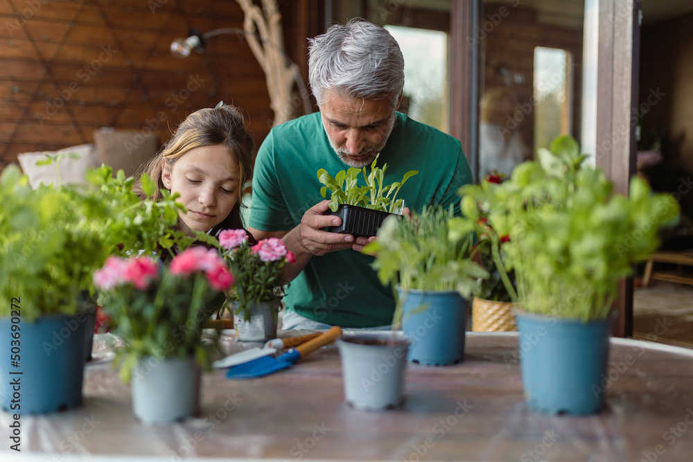 Teenage daughter helping father to plant flowers, home gardening concept
