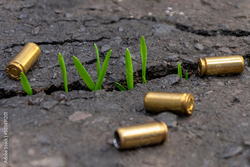 Grass grows through cracks in the asphalt, yellow cartridges are scattered, close-up. Concept: a new life after the war, military operations, revival and restoration.