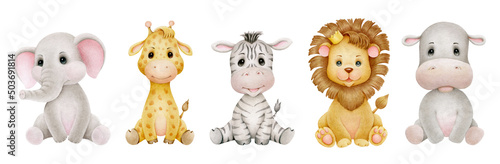 Fototapeta Safari animals watercolor illustration with baby elephant, lion, zebra, giraffe, hippopotamus
