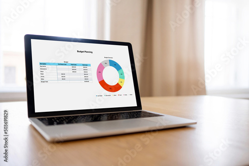 Laptop screen report budget charts and statistics finance, office report