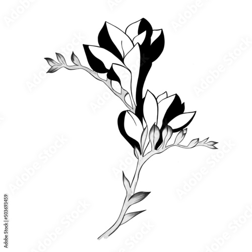 detailed sketch of a flower. Hand-drawn. design greeting card and invitation ...