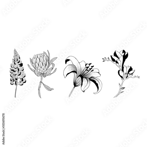big set of flowers sketches. Hand-drawn. design greeting card and invitation ...