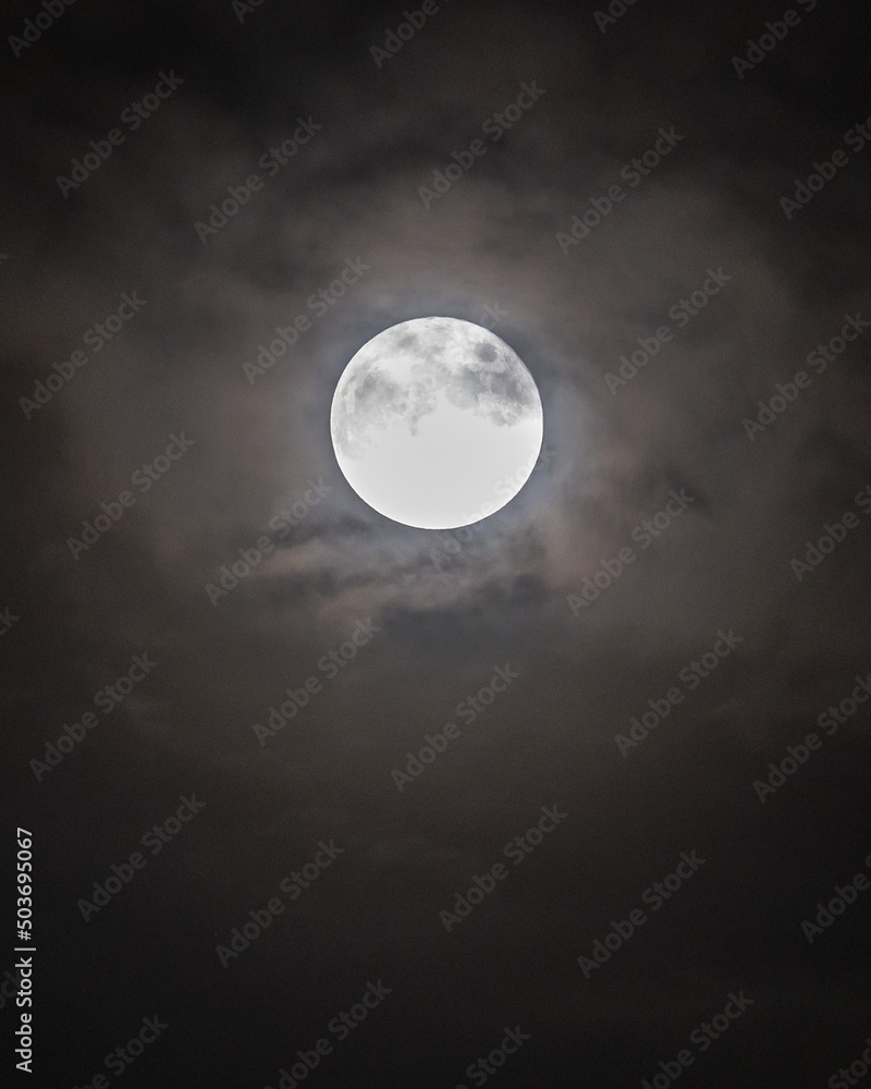 Moon Moon