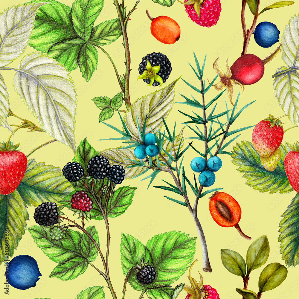 Botanical repeat pattern of hand drawn berries Botanical repeat pattern of hand drawn berries
