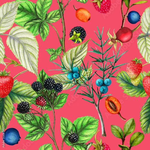 Botanical repeat pattern of hand drawn berries