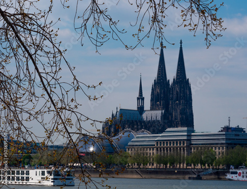 Kölner Dom Blick vom Rheinpark