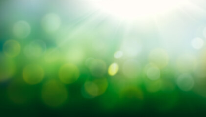 A spring, summer background of fresh lush green foliage, pale blue sky and blurred bokeh sun ray highlights.