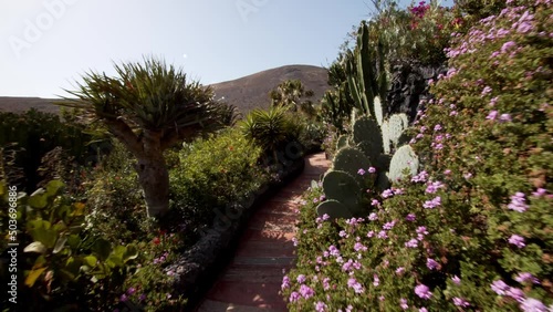 Wallpaper Mural Walking on pathway surrounded by tropical plants in Canary islands, POV view Torontodigital.ca