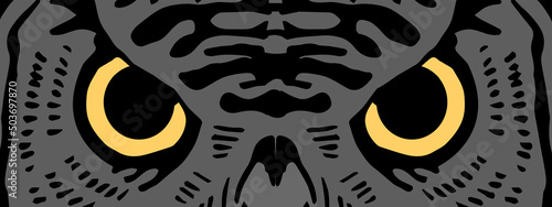 Owl head with predatory eyes. Realistic wild bird portrait. Front view. Vector illustration hand drawn