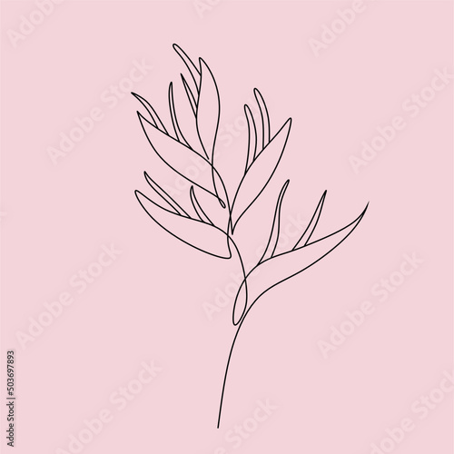 One line drawing set of vector tropical flowers. Botanical poster. Modern single line art, aesthetic outline. Continuous line drawing strelitzia, plumeria, heliconia palm tree and monstera