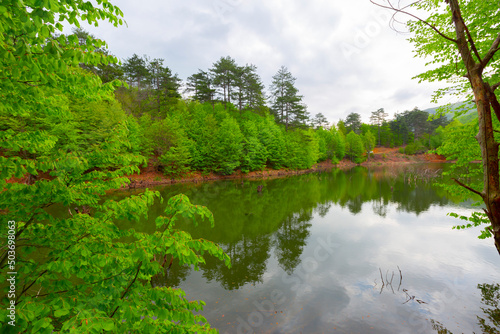 Turkey, Yalova, Çınarcık : Dipsiz Lake in Tesvikiye, surrounded by trees photo