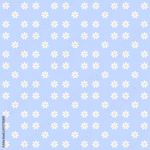 Camomile flowers pattern, flat desing element. Summer flowers seamless pattern on a blue background. Set botany illustration wallpaper.