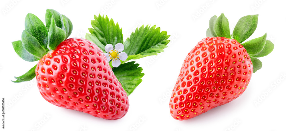 Set of red strawberry fruits with green leaves and flower isolated on white background Set of red strawberry fruits with green leaves and flower isolated on white background