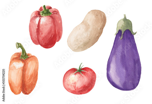set of vegetables isolated on white