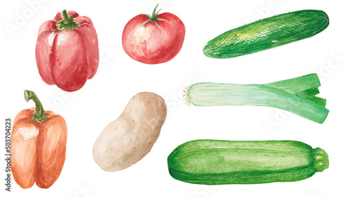 set of vegetables isolated on white