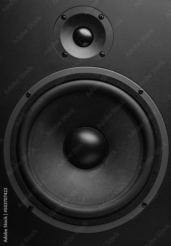 Black sound speaker close-up. Bass and tweeter in one speaker. Black sound speaker close-up. Bass and tweeter in one speaker.