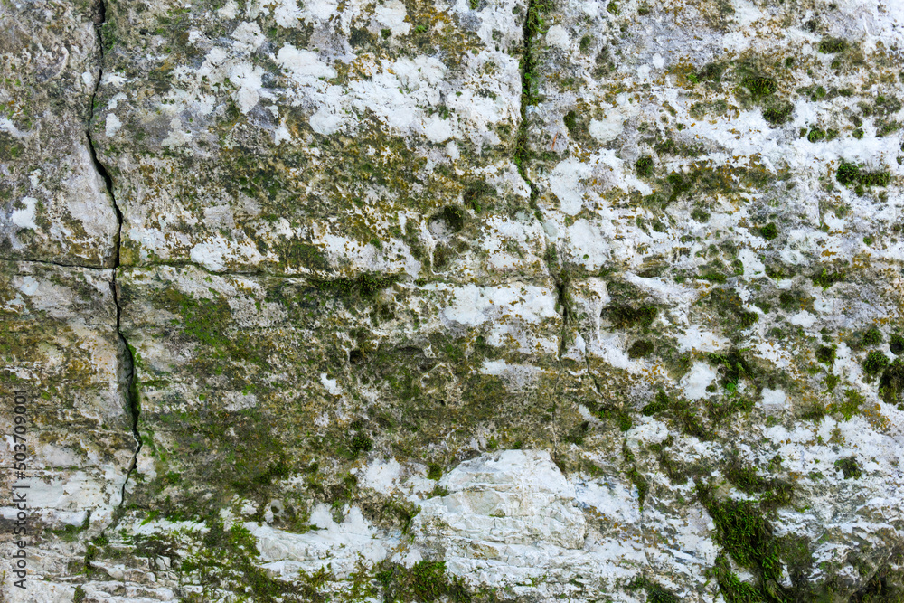 Fototapeta premium The Old Stone Texture with scratches , cracks and moss