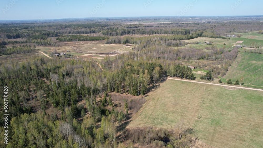 Fototapeta premium Nature, silent, landscape, water, tree, forest