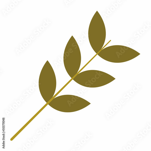 dry twigs isolated on white background	