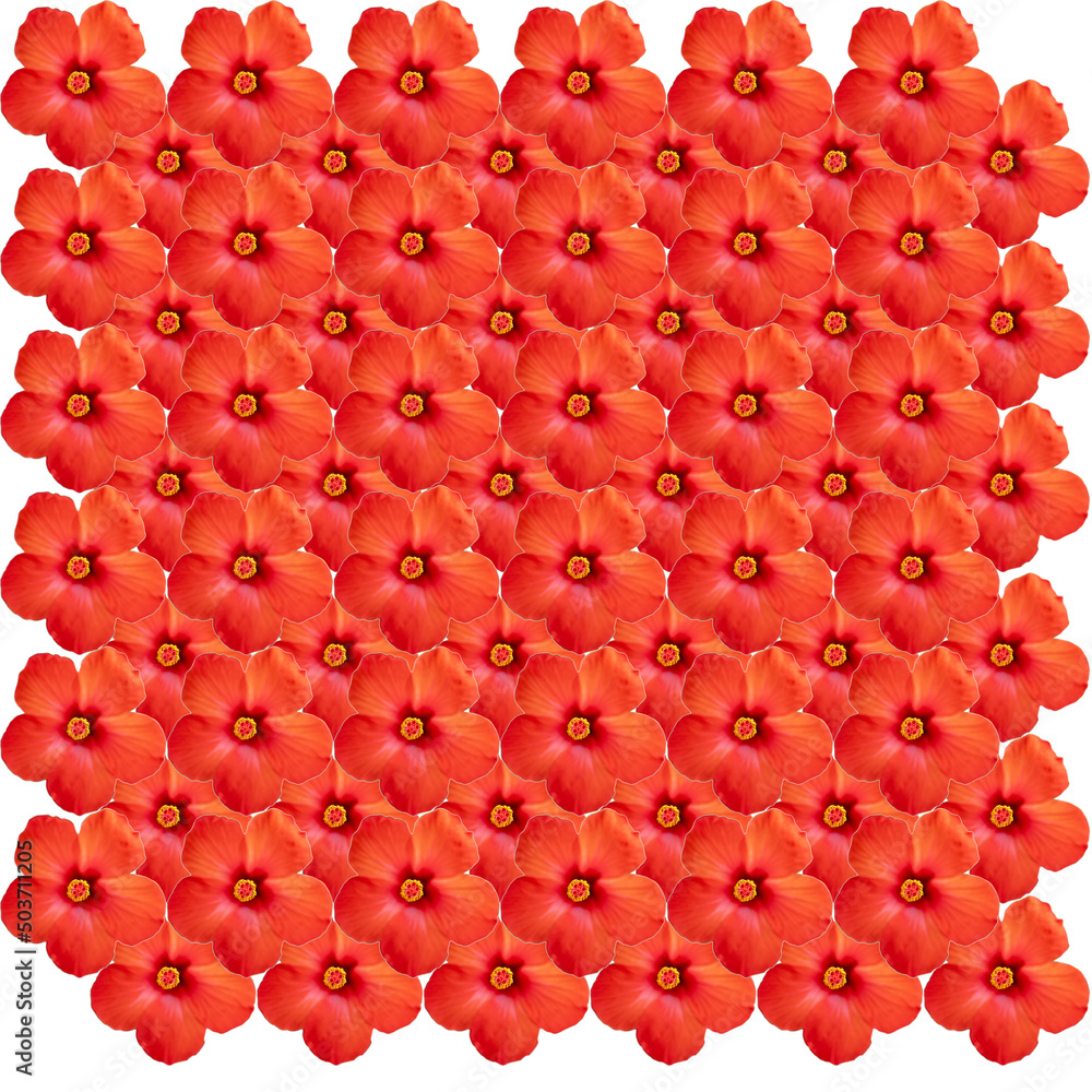 Obraz premium A pattern from a photo of a red flower. Texture for background and design