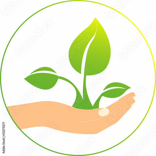 illustration of green plant in hands, environment day concept.