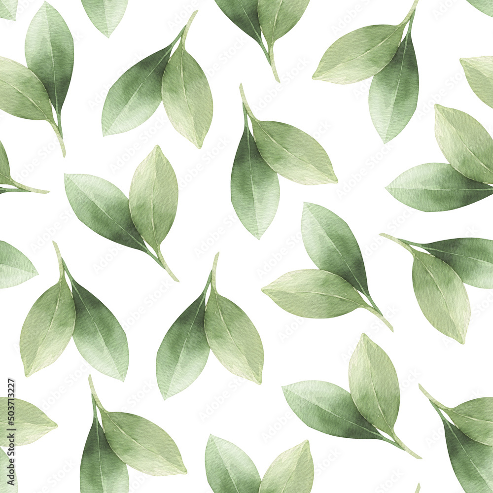 Watercolor seamless pattern with green lemon leaves isolated on white. Watercolor seamless pattern with green lemon leaves isolated on white.