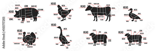 Meat cuts set. Diagrams Scheme of chicken, beef, pork etc. Animal silhouettes icon