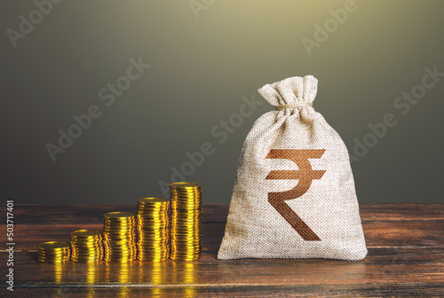 Cuadro en lienzo Indian rupee money bag and increasing stacks of coins