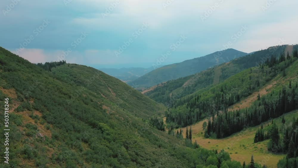 Lush Green Mountain Hills With Bush And Forest. - aerial. Park City. Utah.
Lush Green Mountain Hills With Bush And Forest. - aerial. Park City. Utah.