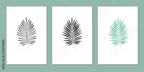 Vector botanical wall arts, with leaves. Minimalistic and natural. Leaves and line arts design.