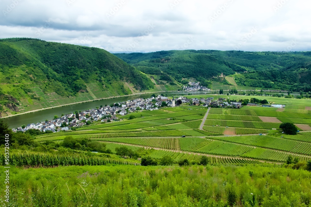 Ellenz-Poltersdorf und Beilstein with vineyards and the moselle valley