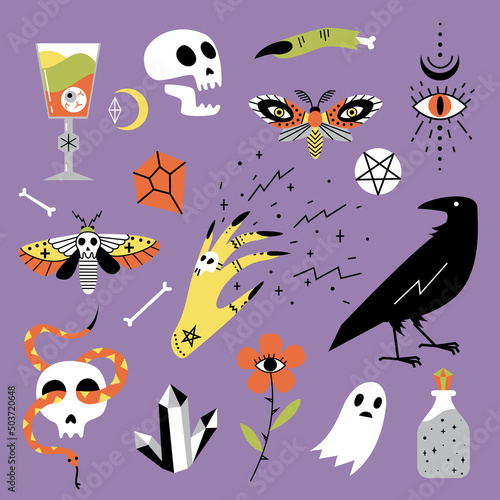 Vector halloween icons. Hand drawn  doodle  cartoon magician set. Witchcraft symbols