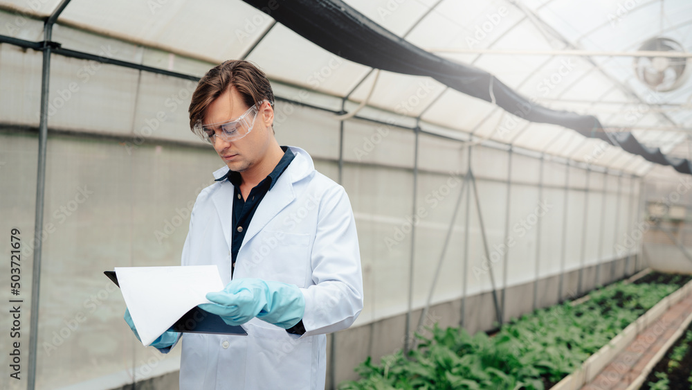 Scientists examined the quality of vegetable organic lettuce from hydroponic farm and recorded them in the clipboard.