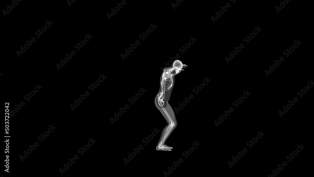 Human xray body and skeleton doing burpees, side view, loop Human xray body and skeleton doing burpees, side view, loop