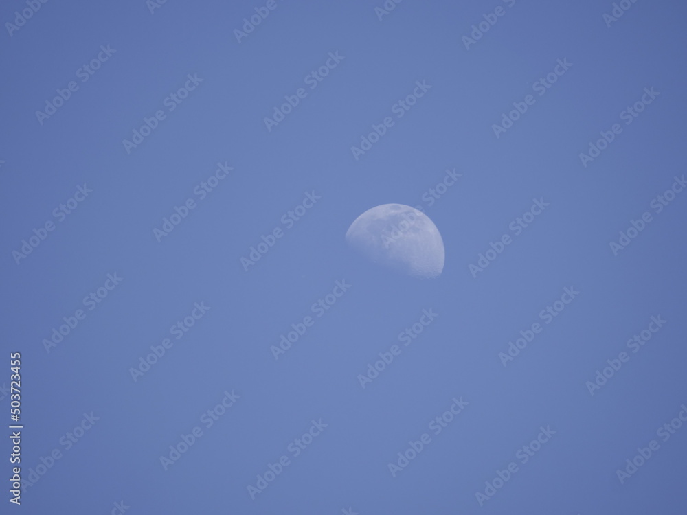 moon moon