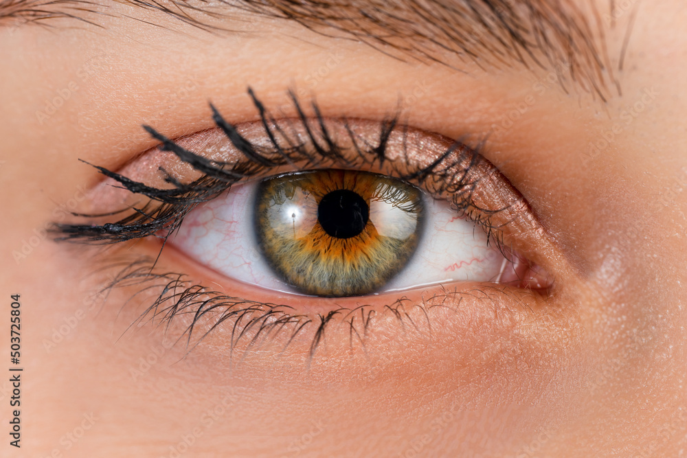 Close up, macro photo of o female color eye, iris, pupil, eye lashes, eye lids. Close up, macro photo of o female color eye, iris, pupil, eye lashes, eye lids.