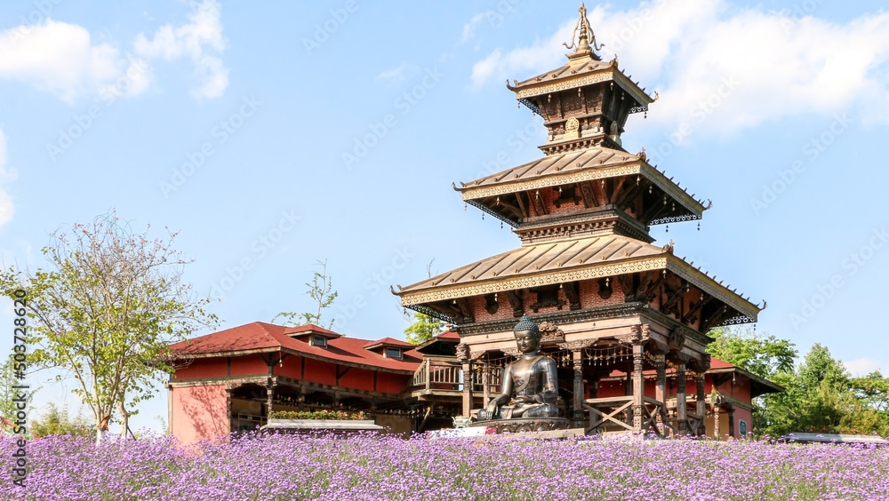 Landscape shot of traditional Nepalese pavilion temple with buddha statue overlooking field of purple violet pink flowers Landscape shot of traditional Nepalese pavilion temple with buddha statue overlooking field of purple violet pink flowers